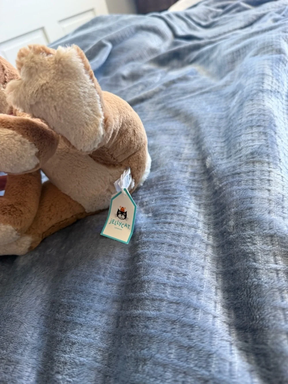 Brand new with tags Jellycat - Picture 2 of 6